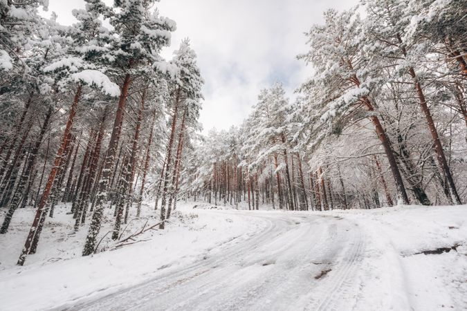 Winter snowy empty country road