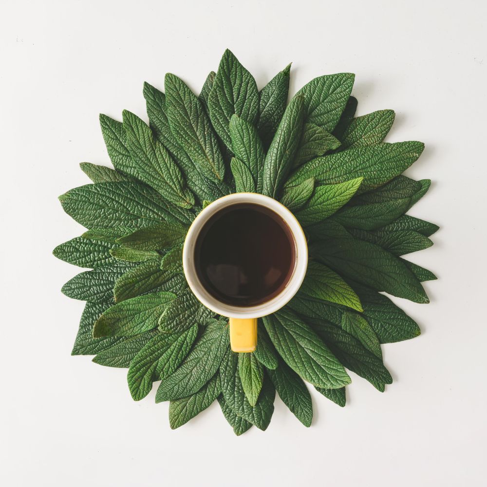 Morning coffee and green leaves in flower shape on light background