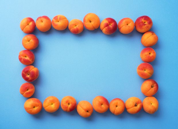 Apricots make a rectangle frame on blue background