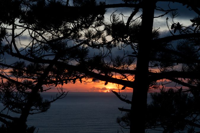 Beautiful sunset over the ocean seen through the trees
