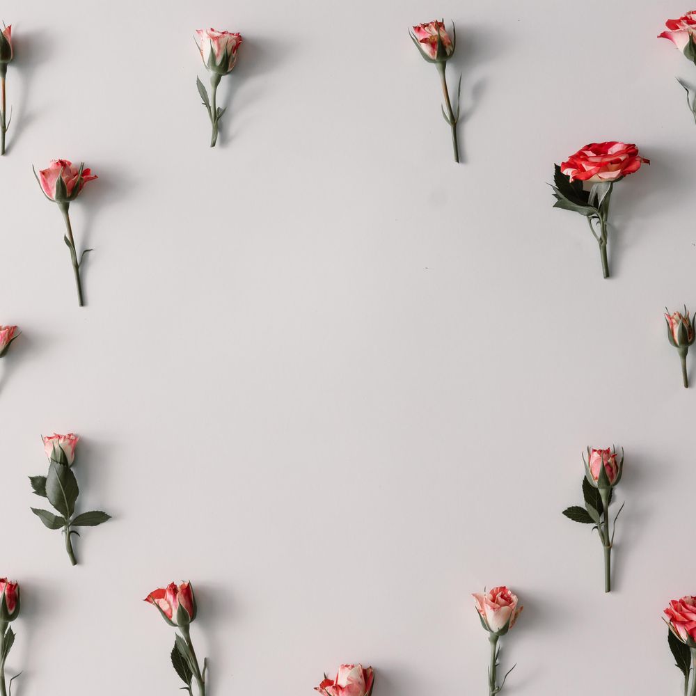 Colorful flowers pattern with copy space on light background