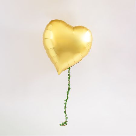 Heart balloon in the air with vine coming down from it