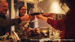 Family toasting wine at christmas dinner 0gQnj4