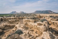 Desert stony landscape with dry green vegetation