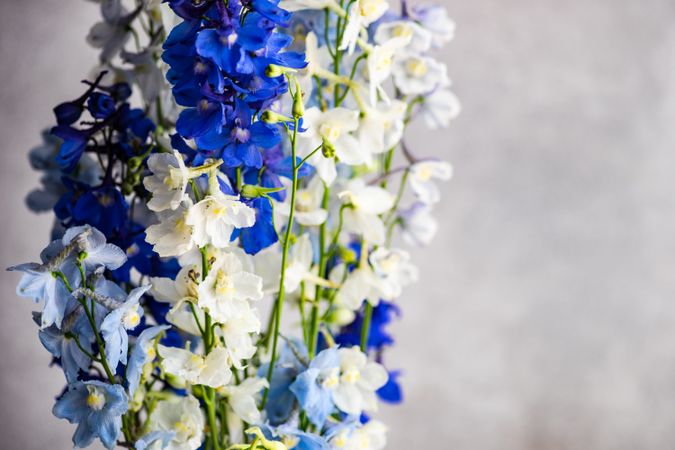 Fresh blue summer floral box