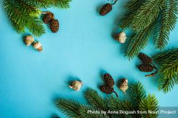 Christmas festive concept of pine cones and branch on blue background 4BAoX5