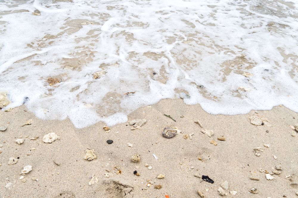 beautiful sandy with coral and ocean waves