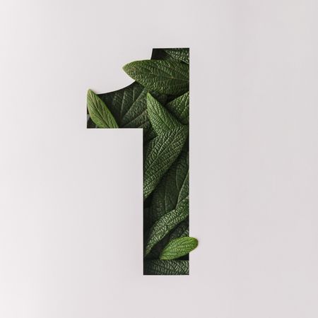 Number one shape cutout with green leaves
