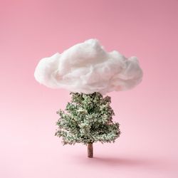 Snowy Christmas tree with cloud on pink background
