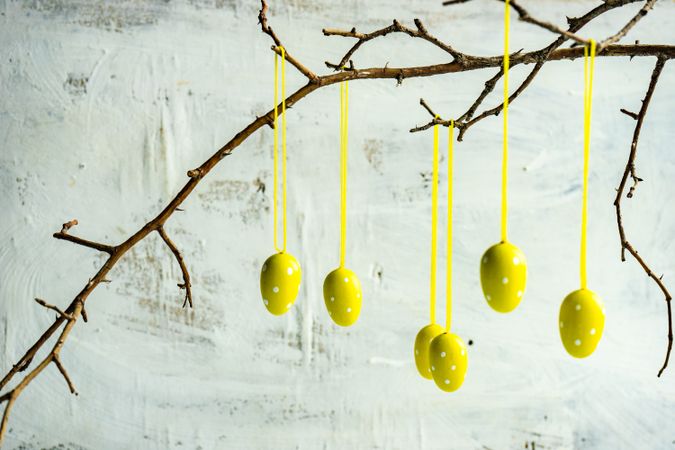 Easter card concept with decorative eggs hanging on branch