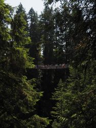 Capilano Suspension Bridge