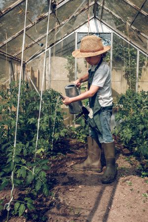 Cute preteen boy watering plants in greenhouse