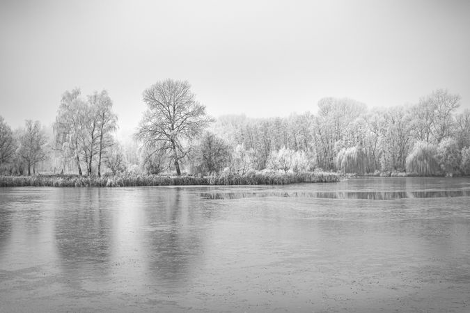 Monochrome shot of lake on an overcast day