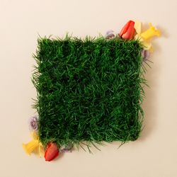 Spring grass and flowers
