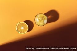 Orange fruit and cold orange juice in sunlight 0y9vq0