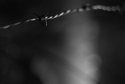 Tense barbed wire