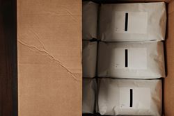 Cardboard box full of of coffee beans ready for shipment
