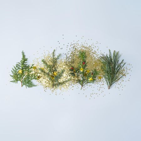 Holiday pine tree branches with glitter in a row on a light background