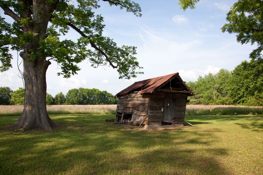 Dilapidated old wooden shed near tree in rural Alabama