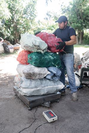 Adult Hispanic Man is weighing a Large Pile of Recycled Crystal Bottles
