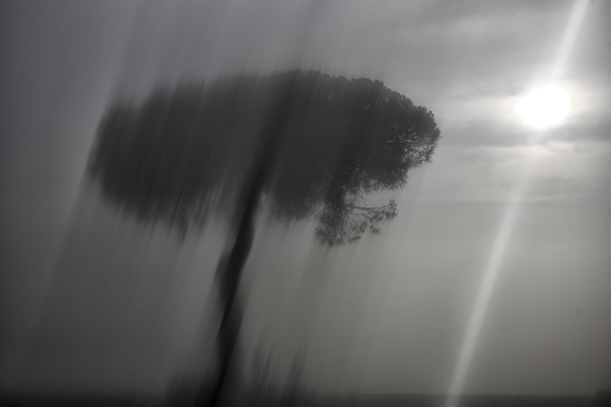 Defocused trees in sunset valley