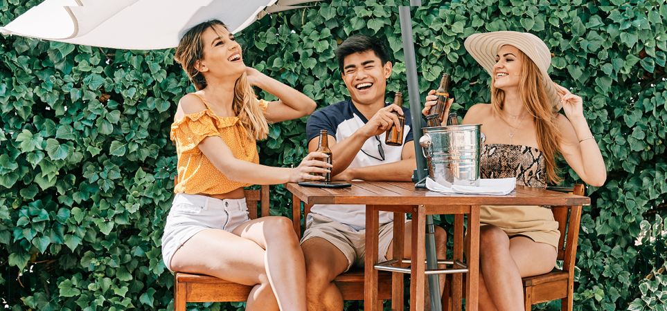 a group of young people cheers with beer in a summer day
