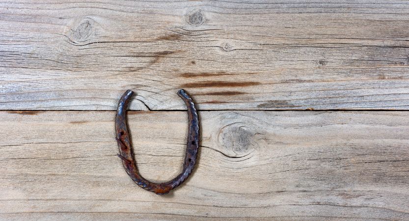 Lucky rusty horseshoe for St Patick holiday on wood