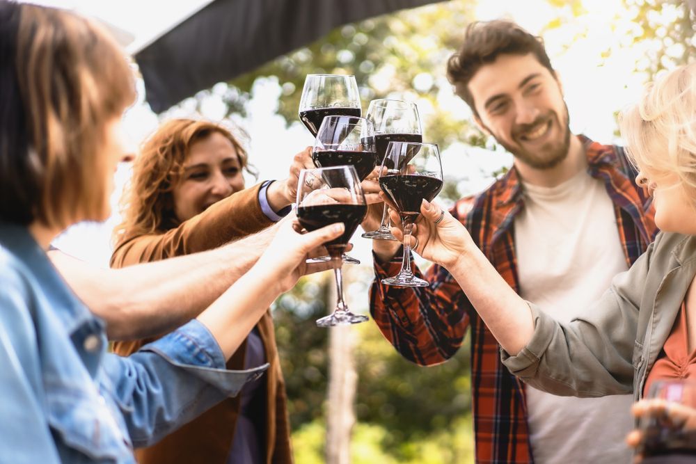 Cheerful friends having fun drinking red wine in vineyard