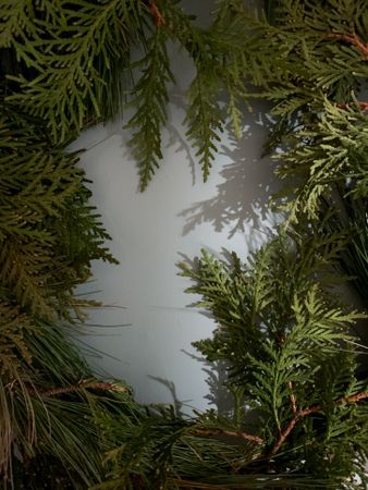 Cedar and pine wreath