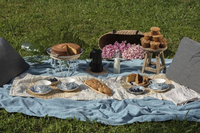Tea party with deserts on blanket at summer garden
