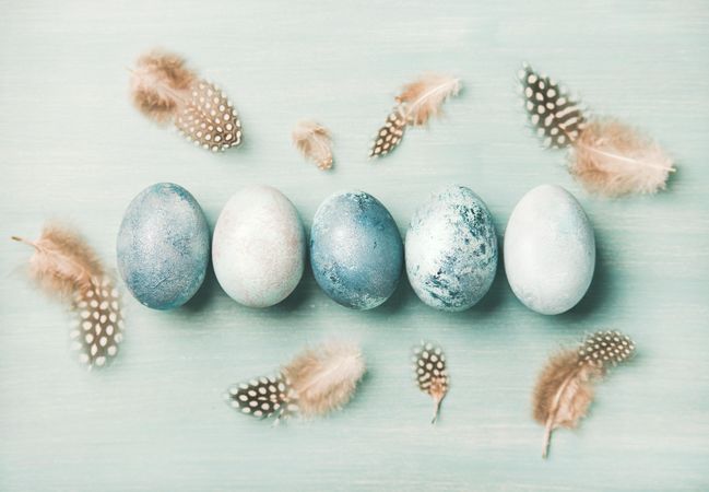 Flat-lay of variety of blue colored eggs and brown bird feathers