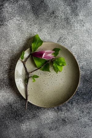 Ceramic plate with magnolia blooming