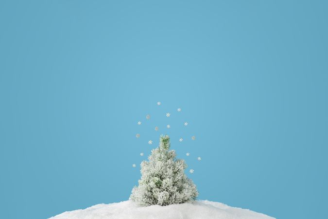 Snowy Christmas tree on blue background