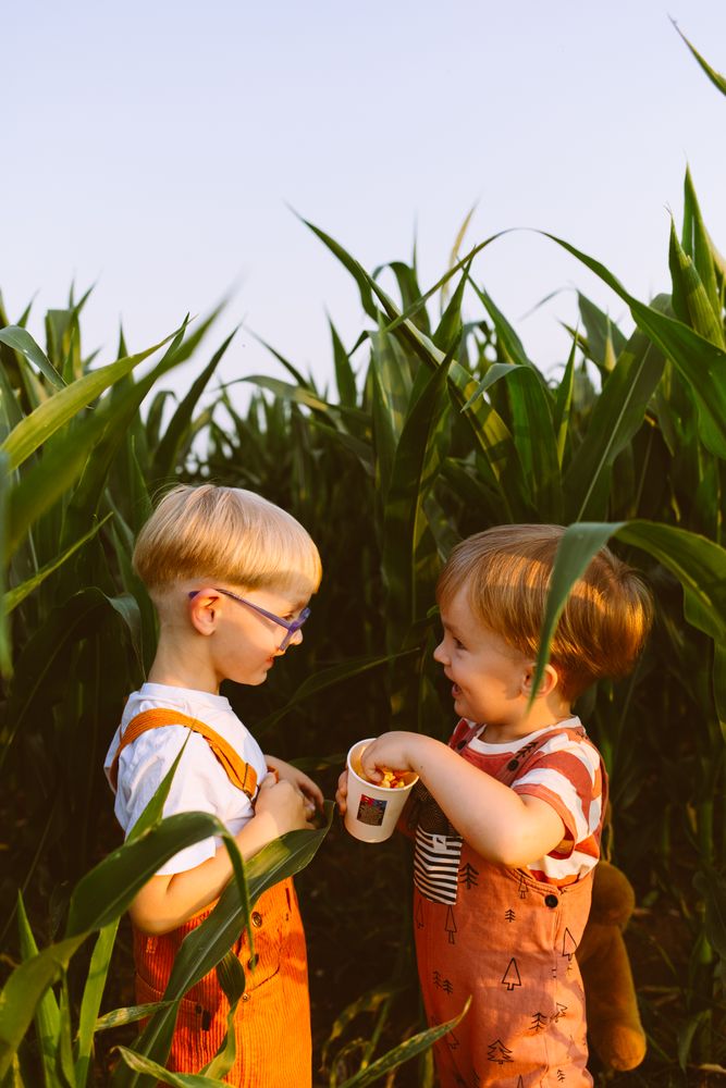 Happy kids giving high five in lush agricultural field at sunset