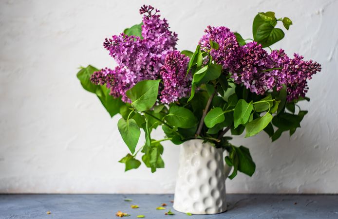 Vase of pink lilac flowers