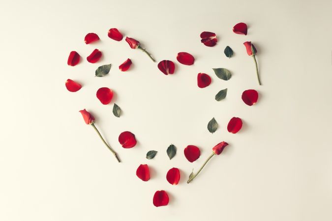 Red rose petal, leaves and flowers in a heart shape on light background