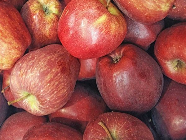 apple texture