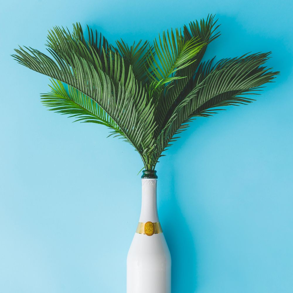 Champagne bottle with tropical green palm leaves on pastel blue background