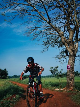 Man in wearing helmet riding on a bicycle near bare tree