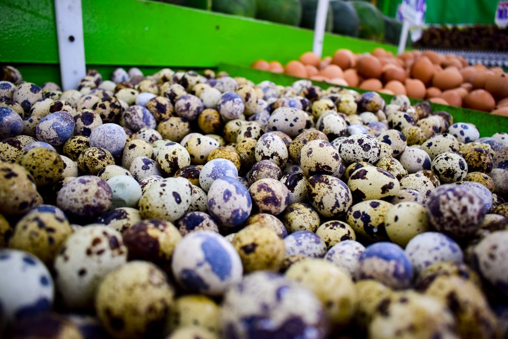 Quail eggs for sale in fresh market