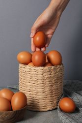 Concept of fresh and natural farm product - eggs