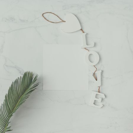 Palm leaf on marble background with the word “Love”