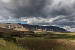 Wind turbines on a Columbia River Valley hillside, near Goldendale, Washington 0Pjka4