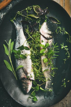 Sea bass with herbs in dark bowl, top view