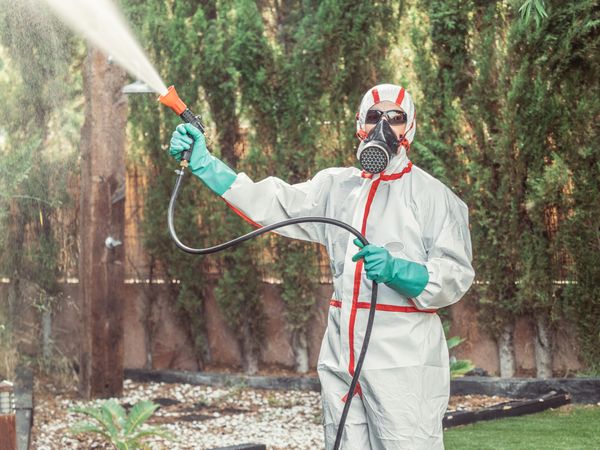 Fumigator in uniform spraying substance on garden
