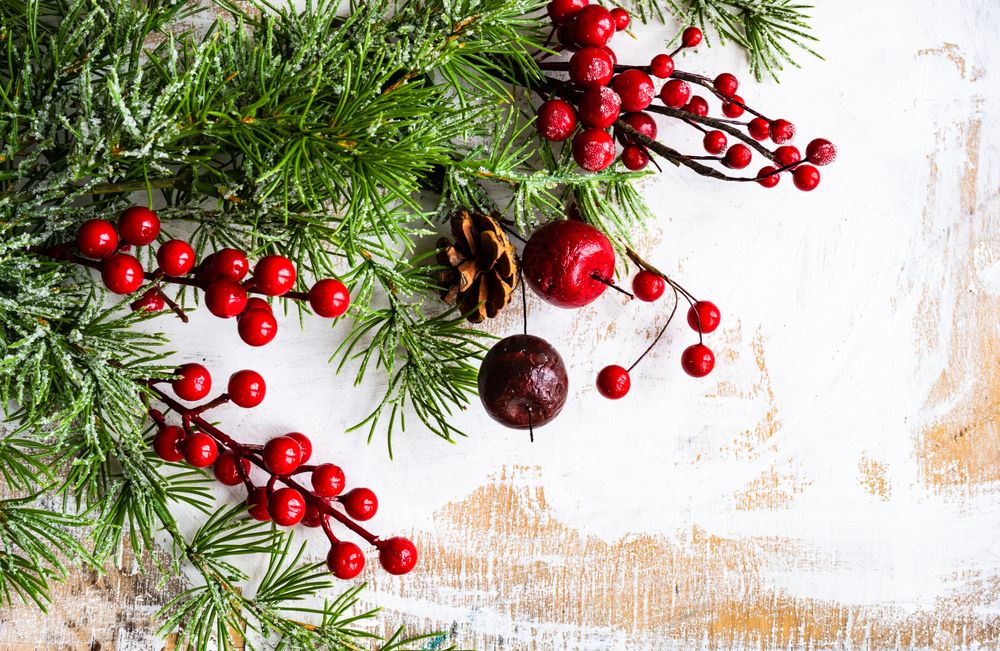 Christmas card concept of holly and tree branch on rustic table