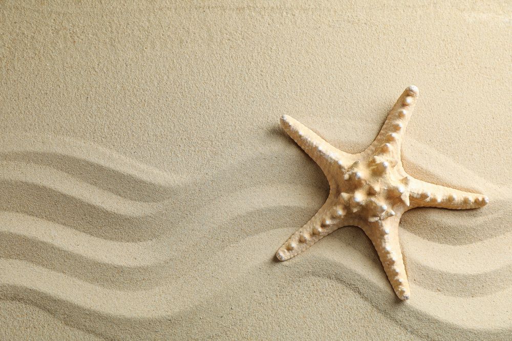Clear sea sand with starfish, space for text. Summer vacation background