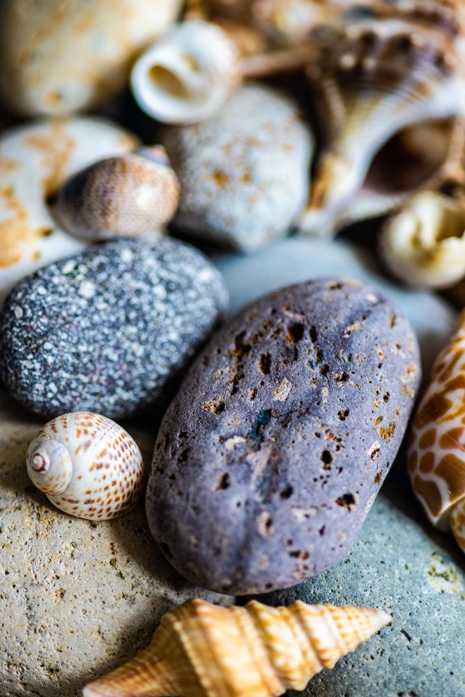 Summer card concept with close up of sea stones