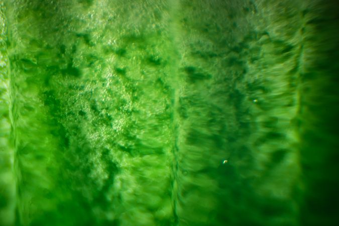 Closeup of green cocktail through glass