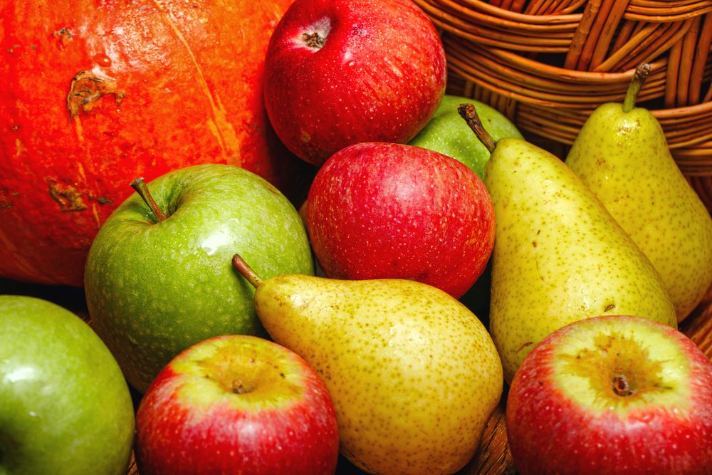 Autumnal fruit and squash